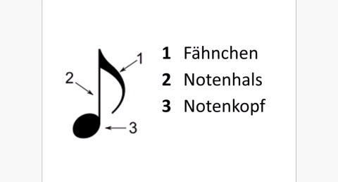 Musik - Notennamen und Tonhöhe (Noten lesen) einfach und kurz erklärt
