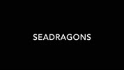 Seadragons