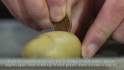 Technik für Kids: Wie baue ich eine Kartoffelbatterie