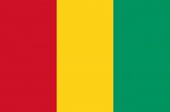 Guinea in a Nutshell