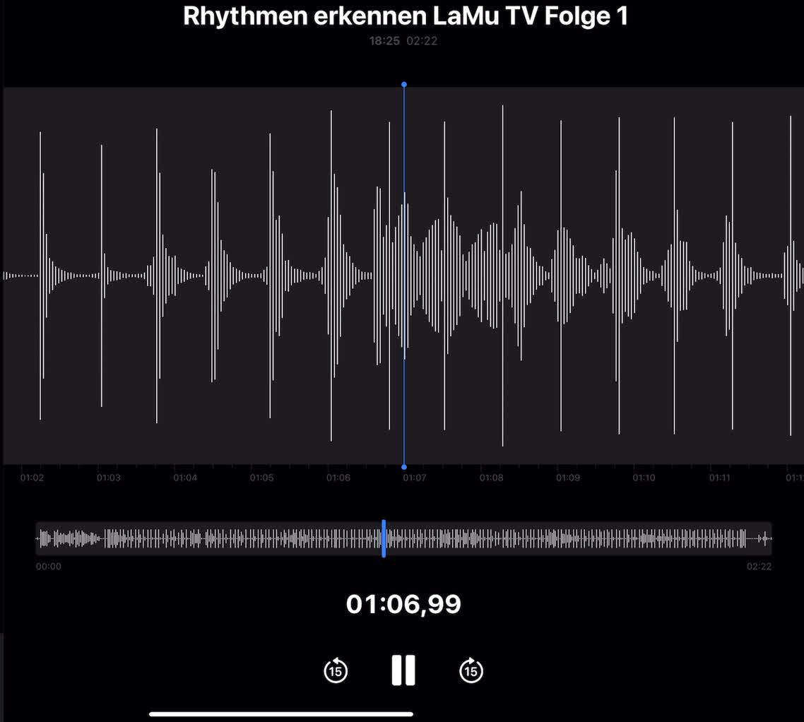 Rhythmen erkennen: LaMu TV Folge 1