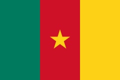 Cameroon in a Nutshell (subtitles)