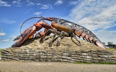 Fun Facts about Lobsters
